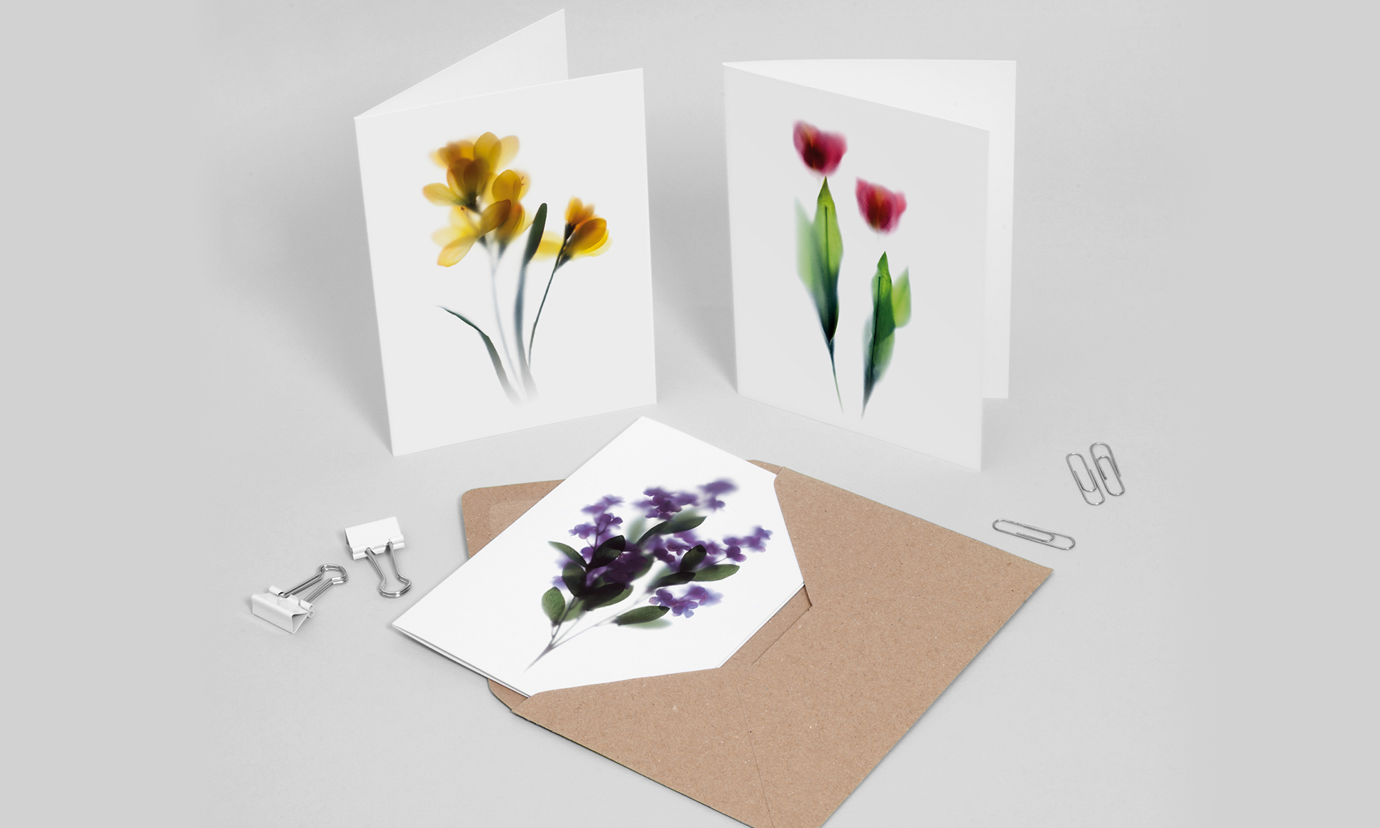 floracollection-greeting-cards-mix-a