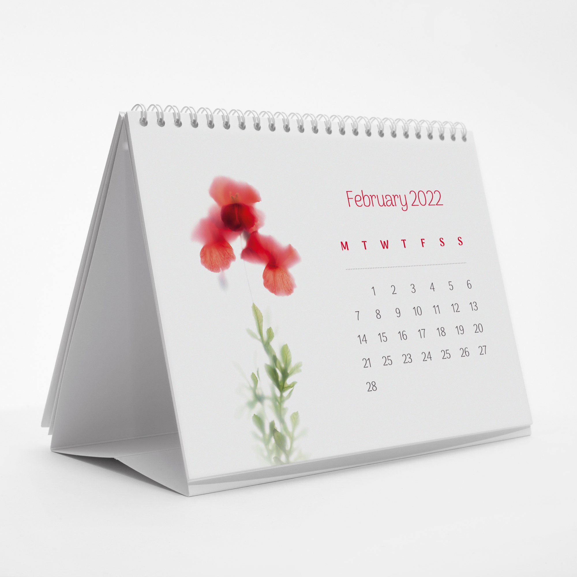 Flora Rozita Desk Calendar with floral illustrations