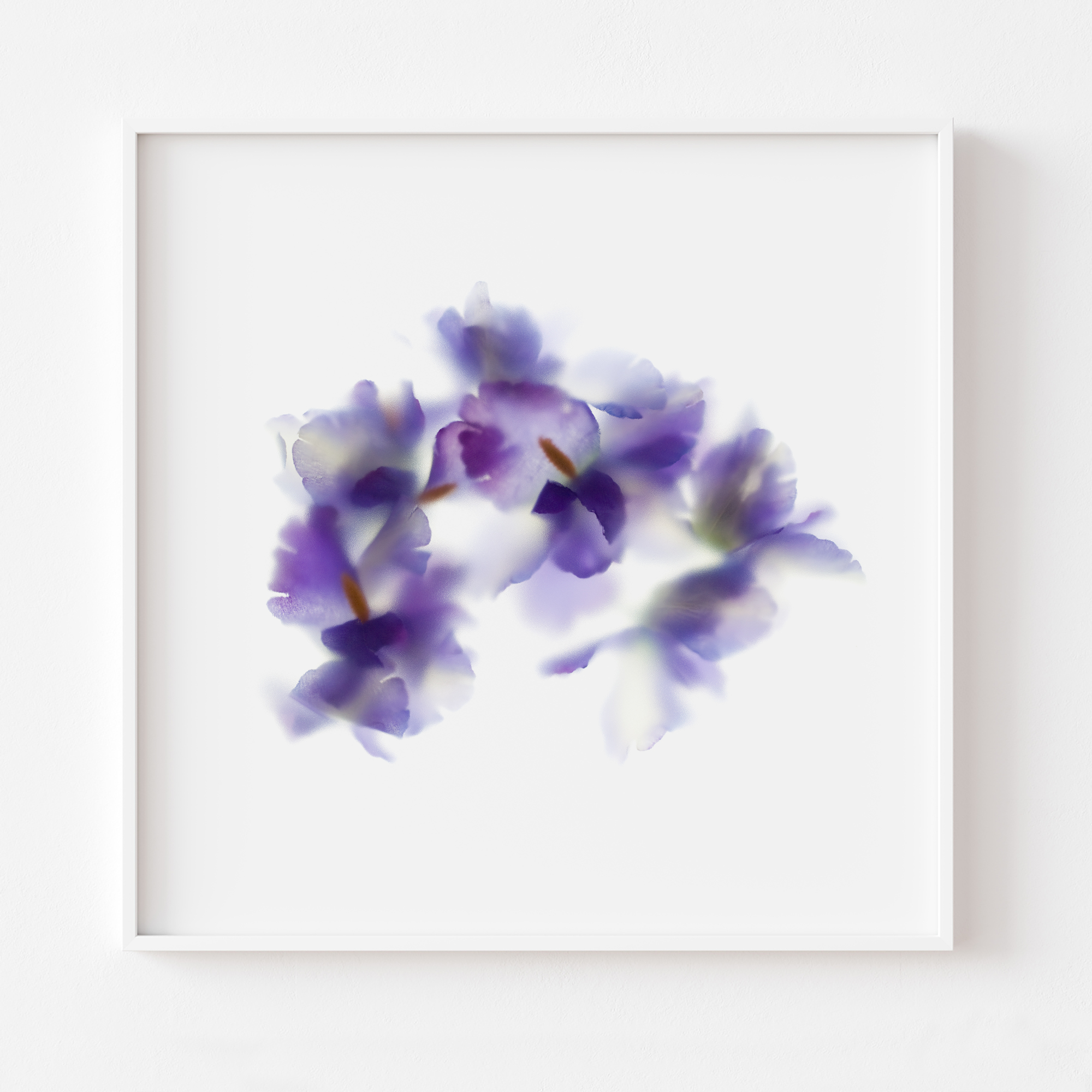 florarozita-wall-art-print-square-purpleiris-01